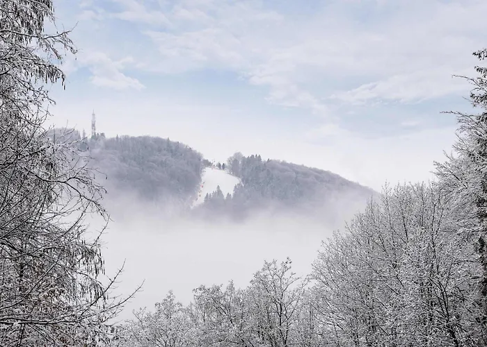 Lejlighed Przytulne W Gorskim Zakatku Wisly By Renters *