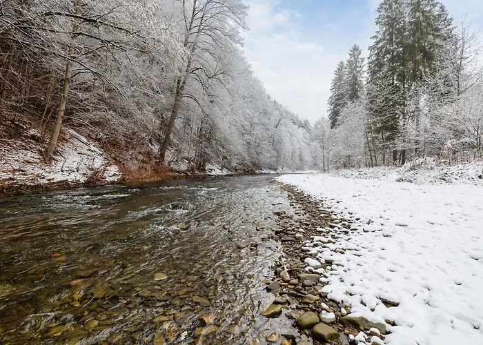 Przytulne W Gorskim Zakatku Wisly By Renters Lejlighed *