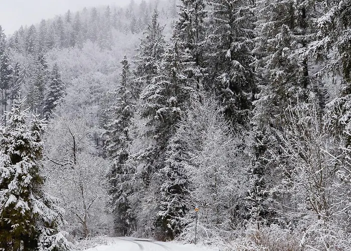 Przytulne W Gorskim Zakatku Wisly By Renters Lejlighed